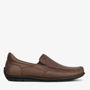 597 MARRON